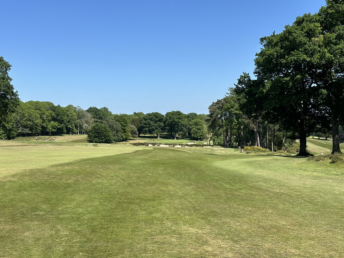 GingermunkyBen's tweet image. Great day @StonehamGC today. Golf no way matched the amazing golf course.
Thanks for organising @plestee
