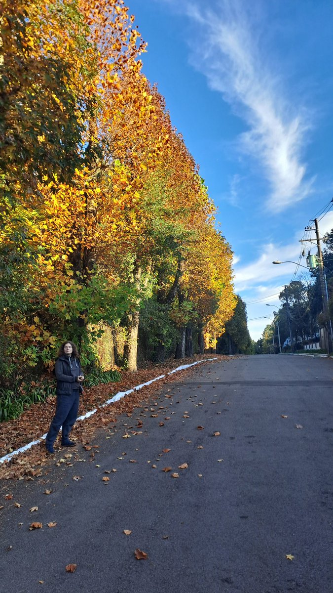 What I learned about myself today:

• I am punctual as a German, and I  will be at any meeting just in time;
• I can't solve easy tasks, but I am able to build high-loaded apps;
• I need to improve my pitching skills in English.

What are your strong skills?