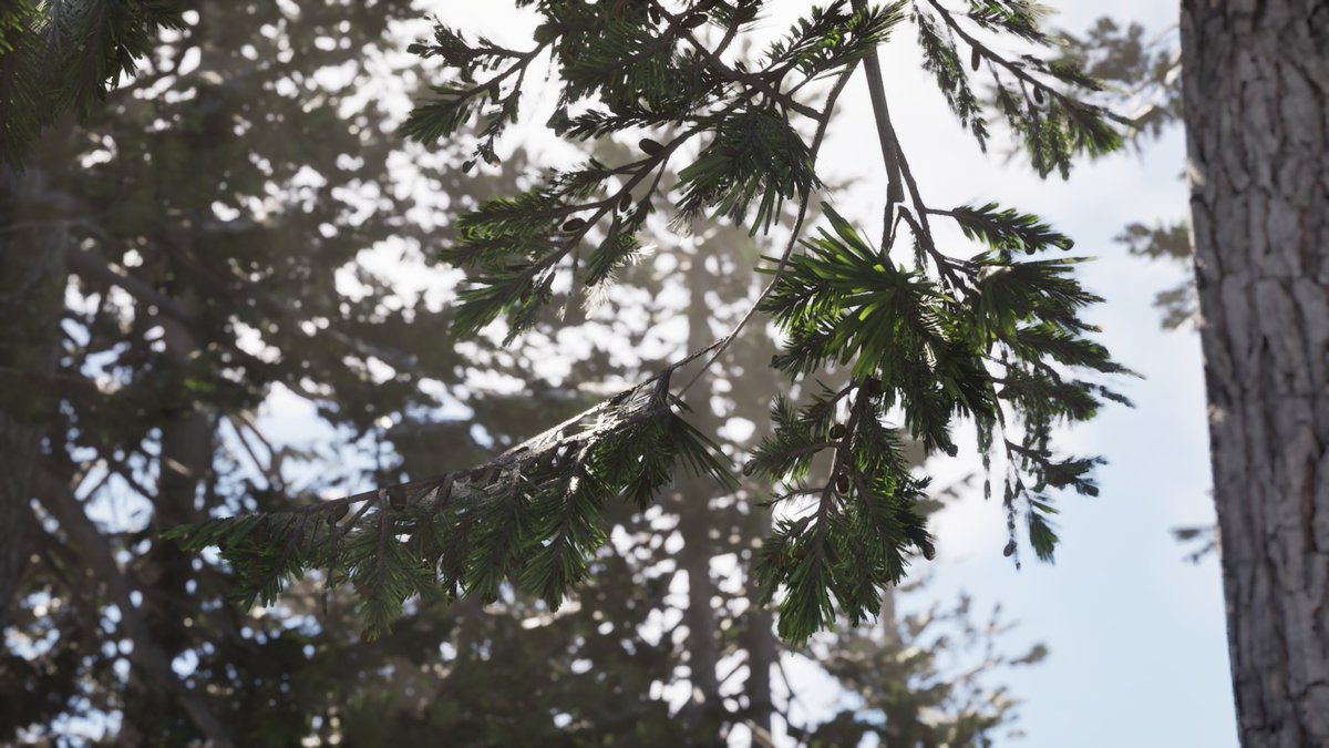 jakebenbow's tweet image. Been learning a bit of speedtree for a personal project I&apos;m working up. Very out of my wheelhouse but happy with the results, might revisit them again later to make a few tweaks.  

Shoutout to @artofdape, would recommend his vegetation course to anyone starting out with trees.