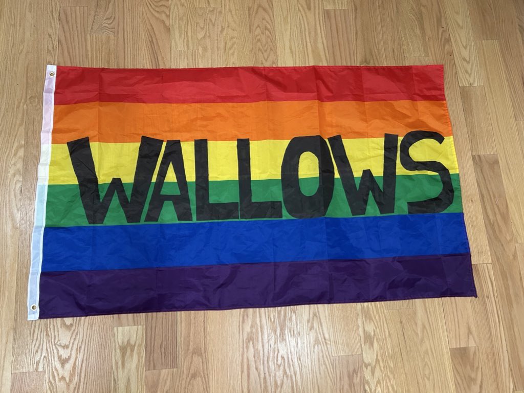hai everybody reply with ur name if you’d like to be on this flag for gov ball (if you’ve seen it before pls don’t) thank you :3