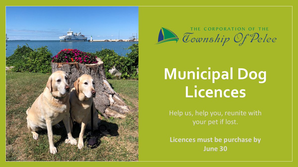 The Township's Dog By-law requires that every owner of a dog register and licence their dog each year.

This simple process will help reunite you with your pet if it is lost.

Deadline to purchase dog tags, without penalty, is June 30

Contact Us
519-724-2931  |  info@pelee.ca