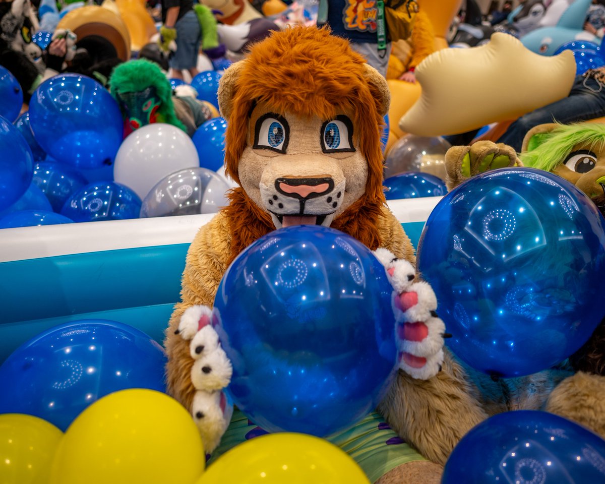 Wanna hab balloon?!? 👉👈🦁