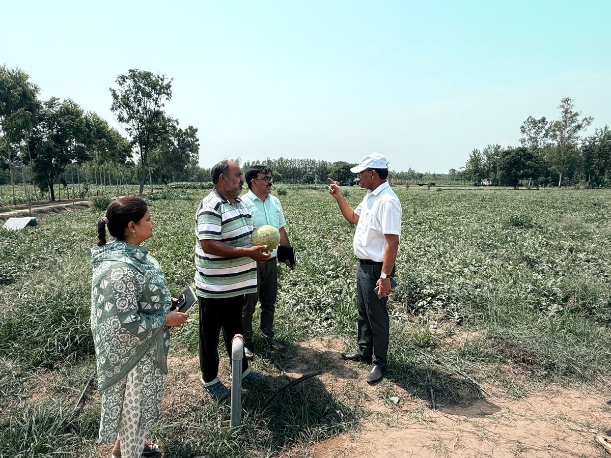 DM MUZAFFARNAGAR (@dmmuzaffarnagar) on Twitter photo рдЖрдЬ рдЧреНрд░рд╛рдо- рдирд╛рдИрдкреБрд░рд╛, рд╡рд┐рдХрд╛рд╕рдЦрдгреНрдб рдЬрд╛рдирд╕рда рдХреЗ рдХреГрд╖рдХ рд╢реНрд░реА рдЬрдЧрд░рд╛рдЬ рд╕рд┐рдВрд╣ рдХреЗ рдЦреЗрдд рдкрд░ рднреНрд░рдордг рдХрд┐рдпрд╛ рдЧрдпрд╛ред
рд╢реНрд░реА рдЬрдЧрд░рд╛рдЬ рд╕рд┐рдВрд╣ рдХреБрд▓ рд▓рдЧрднрдЧ 16 рдПрдХрдб рдореЗ рдЦреЗрддреА рдХреА рдЬрд╛ рд░рд╣реА рд╣реИред рдЬрд┐рд╕рдореЗрдВ 5 рдПрдХрдб рдореЗрдВ рдордХреНрдХрд╛, рд▓рдЧрднрдЧ 7 рдПрдХрдб рддрд░рдмреВрдЬ рдПрдВрд╡ рдЦрд░рдмреВрдЬ рдХреА рдЦреЗрддреА, 4 рдПрдХрдб рдЦреЗрдд рдореЗрдВ рд╣рд░реА рдорд┐рд░реНрдЪ рдХреА рдЦреЗрддреА рдХрд░ рд░рд╣реЗ рд╣реИред
рд╢реНрд░реА рдЬрдЧрд░рд╛рдЬ рд╕рд┐рдВрд╣ рдХреЗ рдЦреЗрдд рдкрд░ рдЙрджреНрдпрд╛рди рдЖрдЬ рдЧреНрд░рд╛рдо- рдирд╛рдИрдкреБрд░рд╛, рд╡рд┐рдХрд╛рд╕рдЦрдгреНрдб рдЬрд╛рдирд╕рда рдХреЗ рдХреГрд╖рдХ рд╢реНрд░реА рдЬрдЧрд░рд╛рдЬ рд╕рд┐рдВрд╣ рдХреЗ рдЦреЗрдд рдкрд░ рднреНрд░рдордг рдХрд┐рдпрд╛ рдЧрдпрд╛ред
рд╢реНрд░реА рдЬрдЧрд░рд╛рдЬ рд╕рд┐рдВрд╣ рдХреБрд▓ рд▓рдЧрднрдЧ 16 рдПрдХрдб рдореЗ рдЦреЗрддреА рдХреА рдЬрд╛ рд░рд╣реА рд╣реИред рдЬрд┐рд╕рдореЗрдВ 5 рдПрдХрдб рдореЗрдВ рдордХреНрдХрд╛, рд▓рдЧрднрдЧ 7 рдПрдХрдб рддрд░рдмреВрдЬ рдПрдВрд╡ рдЦрд░рдмреВрдЬ рдХреА рдЦреЗрддреА, 4 рдПрдХрдб рдЦреЗрдд рдореЗрдВ рд╣рд░реА рдорд┐рд░реНрдЪ рдХреА рдЦреЗрддреА рдХрд░ рд░рд╣реЗ рд╣реИред
рд╢реНрд░реА рдЬрдЧрд░рд╛рдЬ рд╕рд┐рдВрд╣ рдХреЗ рдЦреЗрдд рдкрд░ рдЙрджреНрдпрд╛рди