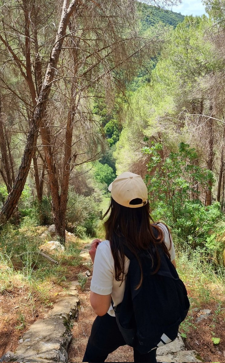 Diana_i_dee's tweet photo. كن لطيفاً مع أنتَ..❤️
#my_lebanon
#me_time
#مساء_الخير https://t.co/7zDxaRIRFO