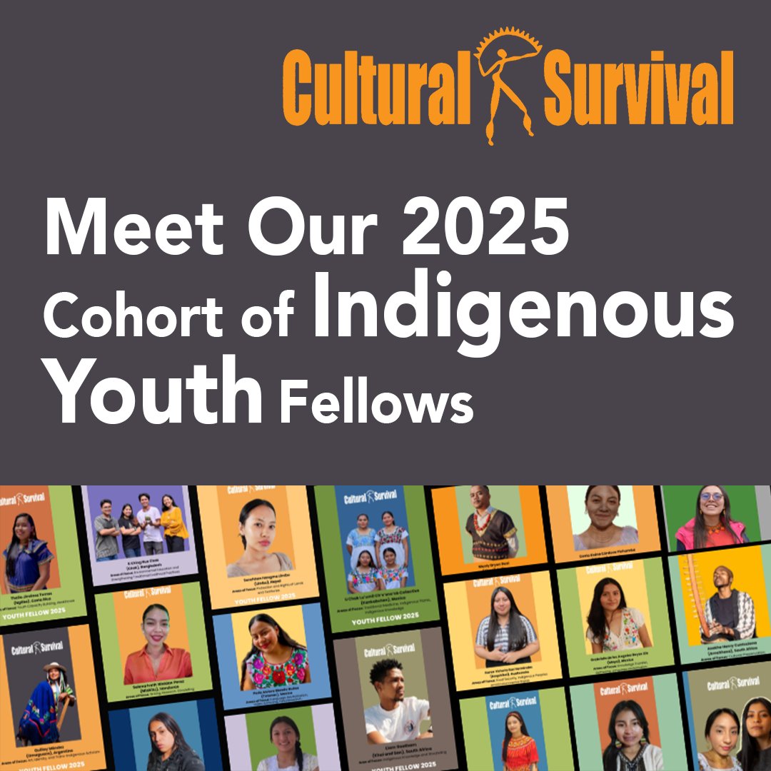 #CulturalSurvival is excited to announce our 2025 cohort of #IndigenousYouth Fellows—committed to transforming their communities and elevating, defending, and strengthening their cultures and traditional knowledge. #IndigenousYouthRising

Meet our Fellows: culturalsurvival.org/news/meet-our-…