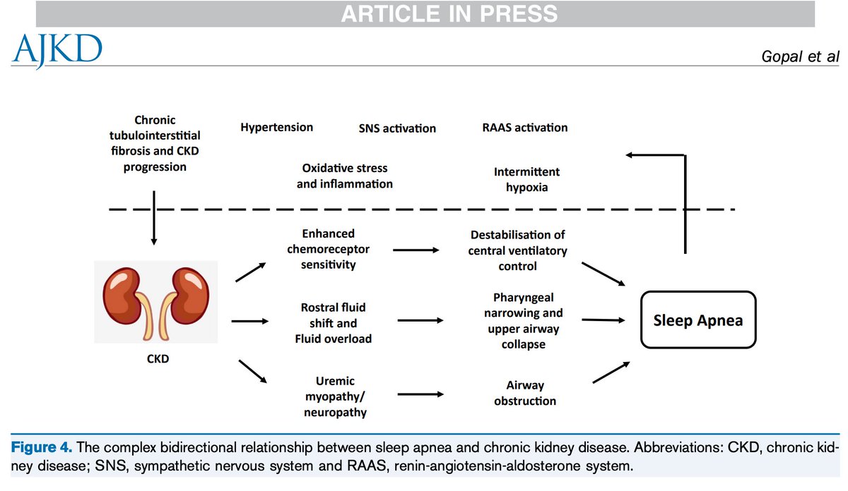 This Review presents an overview of sleep disorders in patients with CKD, with emphasis on relevant pathophysiology, diagnosis and treatment strategies.  

bit.ly/4kyRGom (FREE)

<a href="/AnjanaGopal9/">Anjana Gopal, MBBS, MD, DM Nephrology, FASN</a> <a href="/janinef/">Janine Farragher 🇨🇦</a> <a href="/vatuhn/">Vanita Jassal</a> <a href="/mucsist/">istvan mucsi</a> <a href="/UofTNephrology/">U of T Nephrology</a>