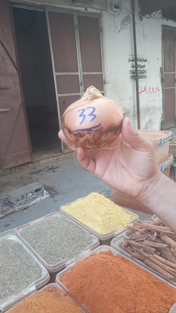 ‼️$9.28 for a single onion!!! Aseel messaged me, "We don't know what to eat!" PLEASE help the Al Ashi family! They desperately need food &amp; a tent after being displaced again! Please d♡nate &amp; sh4re: spot.fund/dr2vr6ssc