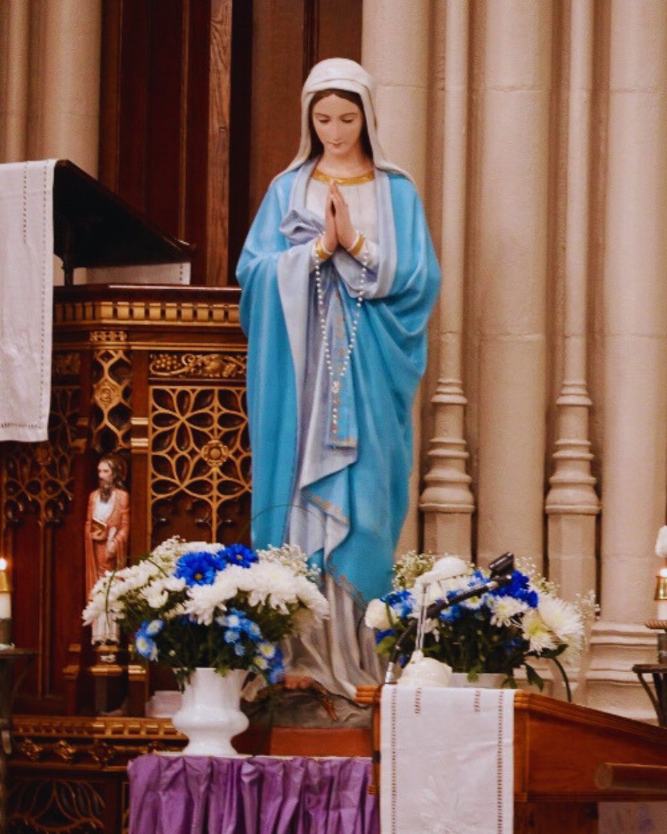 To learn about the Morning Star Guild, a community in our diocese that seeks to deepen their devotion to the Blessed Mother through accompaniment and prayer, click the link below: 
bridgeportdiocese.org/guilds/morning…