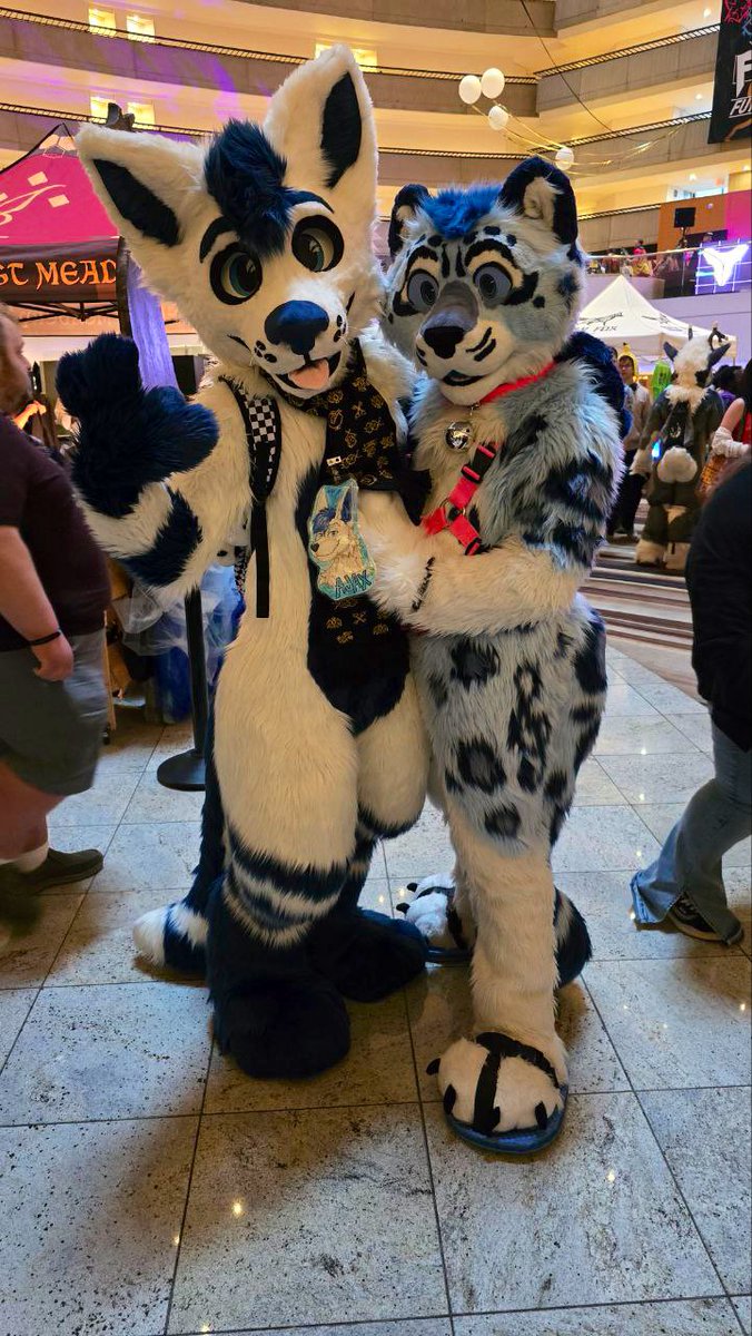 Ayee Snep with a chill fox sharing #FursuitFriday with <a href="/Jaxyfox/">Ajax 🔜 Canfurence</a> 😎