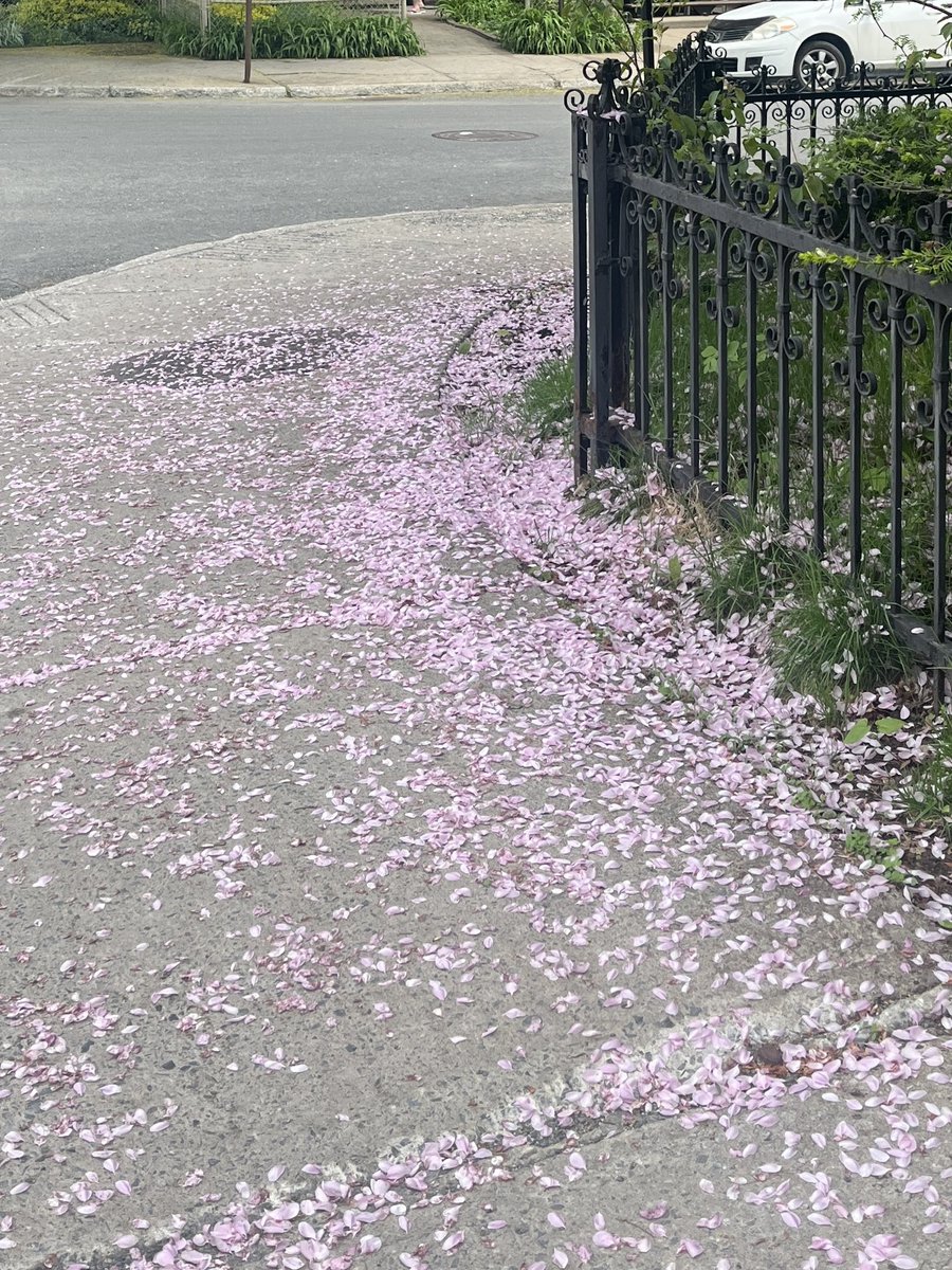 i think sidewalks should always look like this