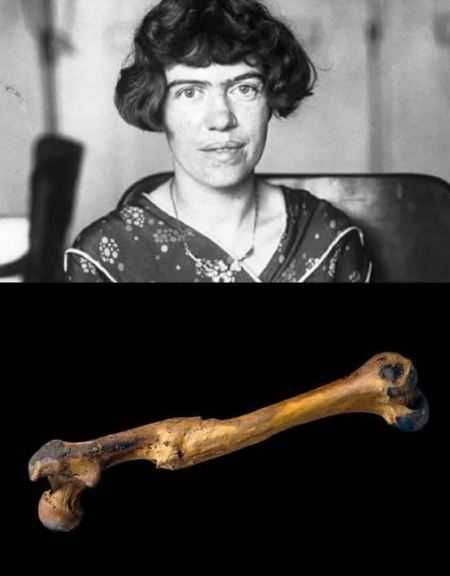 Un estudiante le preguntó a la antropóloga Margaret Mead cuándo comenzó la civilización.
El estudiante esperaba respuestas como:
La rueda, las herramientas, los fragmentos de arcilla o los anzuelos. Pero Mead sonrió y dijo algo completamente inesperado:
- Cuando se encontró un