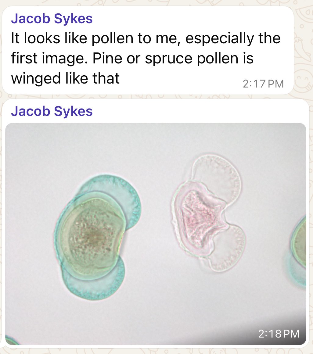 LizTremblayMD's tweet photo. Solved by Jacob Sykes. 🏆 https://t.co/ALYwM13IPn