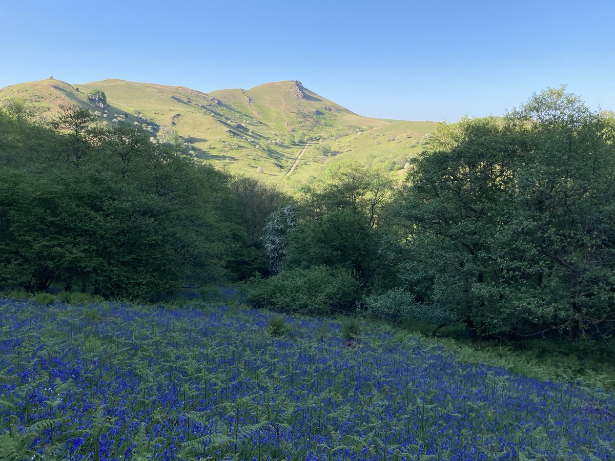 Kevin Eardley (@keardley1) on Twitter photo 