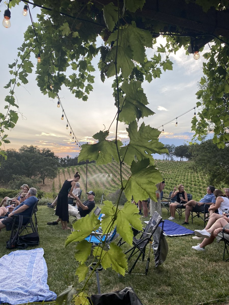 Save the date! 2025 Harvest ruckus will be Oct 11 at Yorba Wines gorgeous Shake Ridge Ranch, Amador County. Full line up announcement + Tix on sale in July…