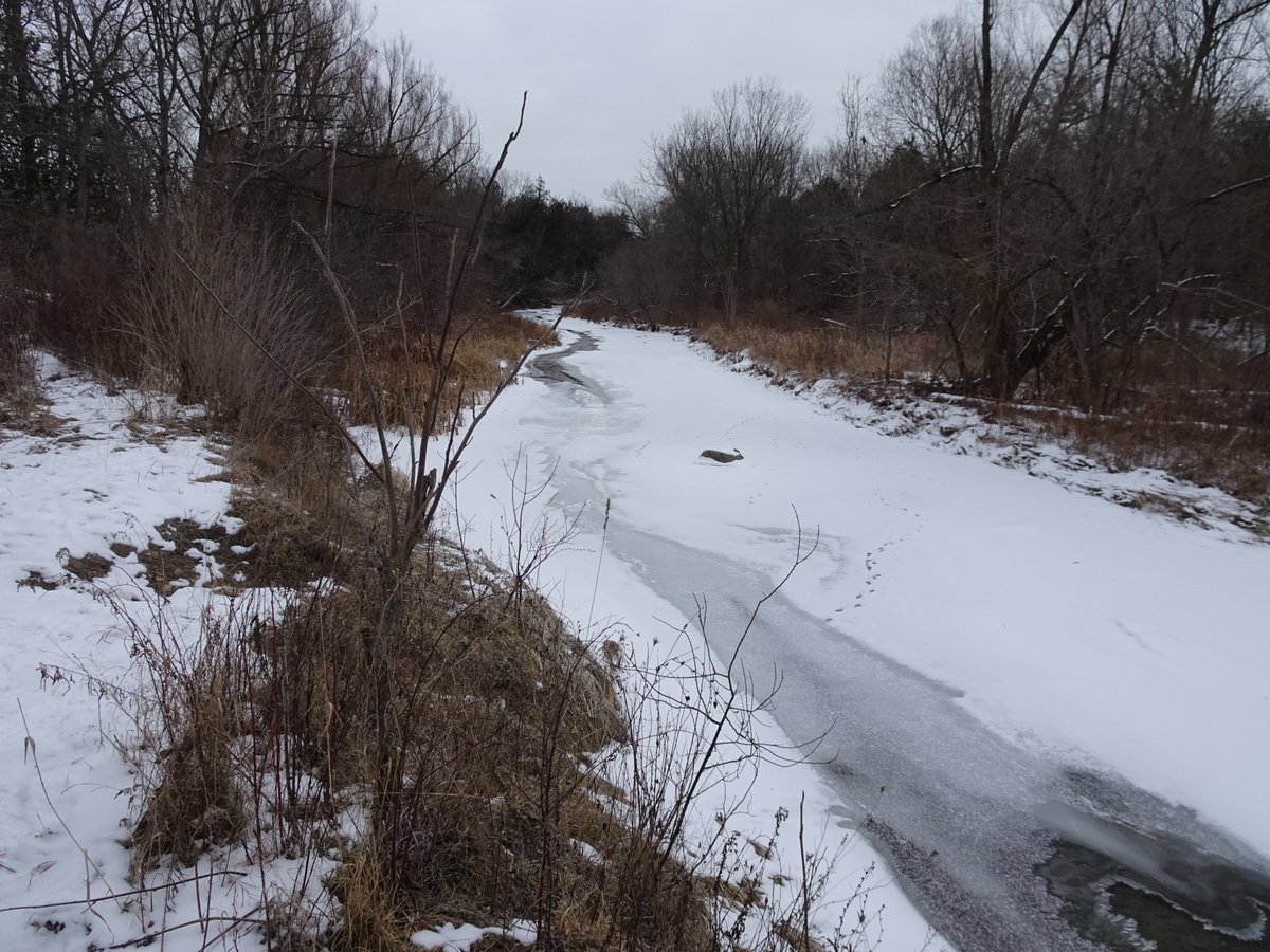 RNUP_NOW's tweet photo. Some pictures from the winter and spring in the #RNUP #FRNUP https://t.co/Up5EhU05Xg
