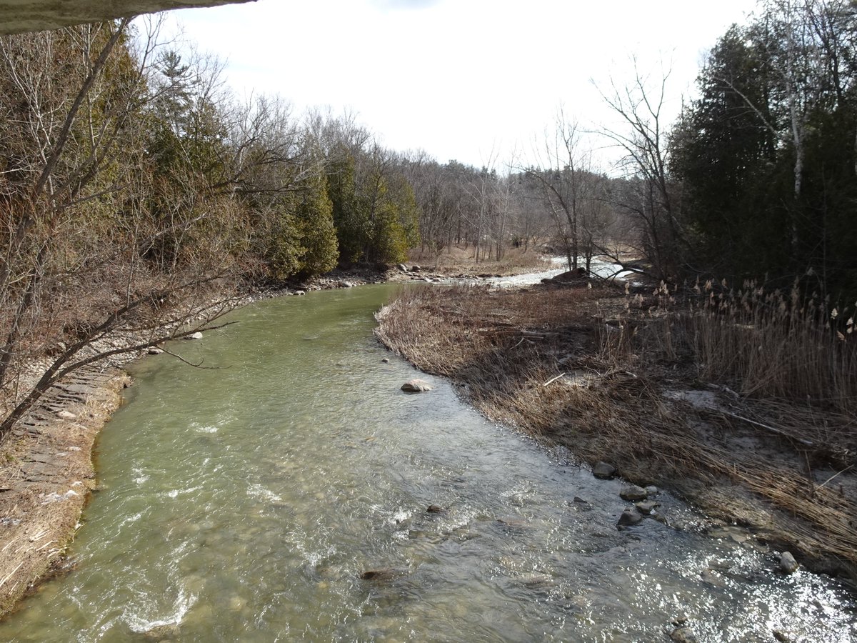 Some pictures from the winter and spring in the #RNUP #FRNUP