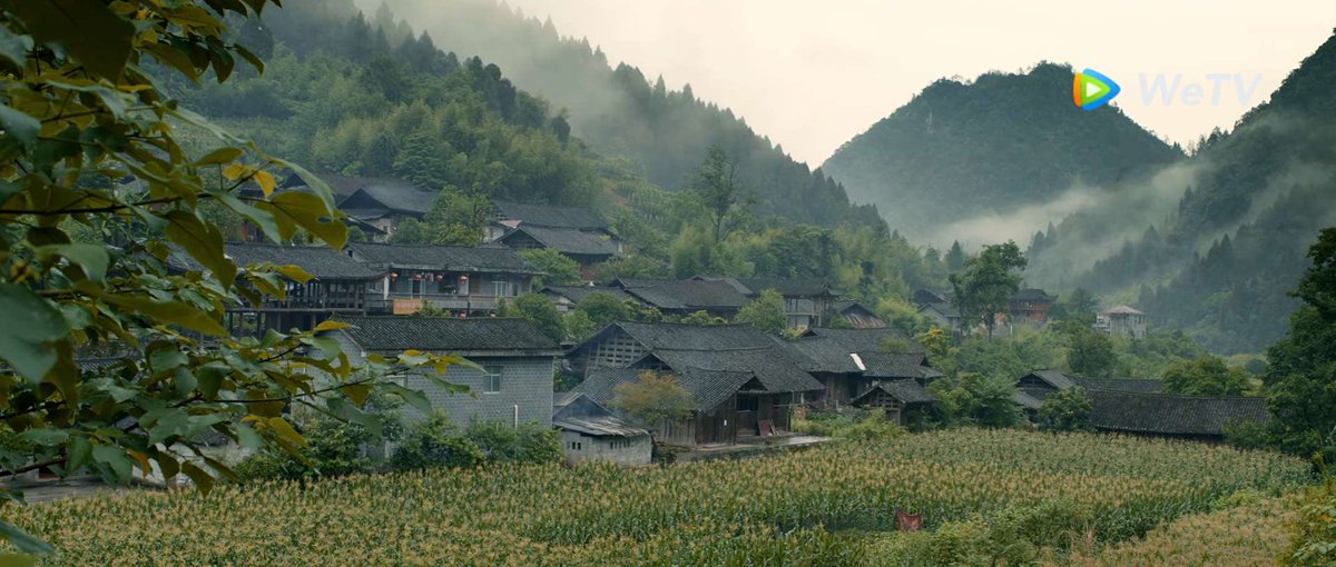 Potato_elham's tweet photo. The cinematography of #SpringBurning is sooo beautiful 💚 https://t.co/pzBGkGXoWr
