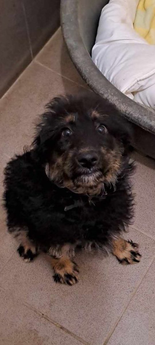 Komu się zgubiła ta kruszynka ❤️?