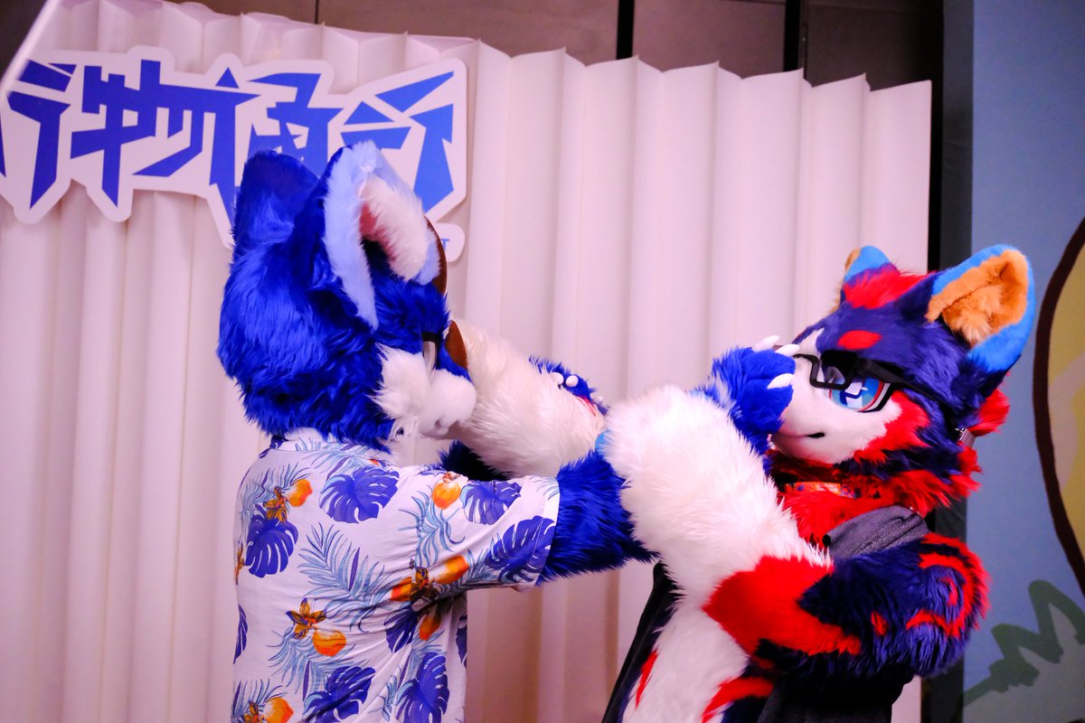 #FursuitsFriday
📷：Look here!
🐉🫰🏻❤️🫰🏻🐶
📷：（Check photos）
💢🐉🤜🤛🐶💢

🐶：@织炎
📷：@艾诺
