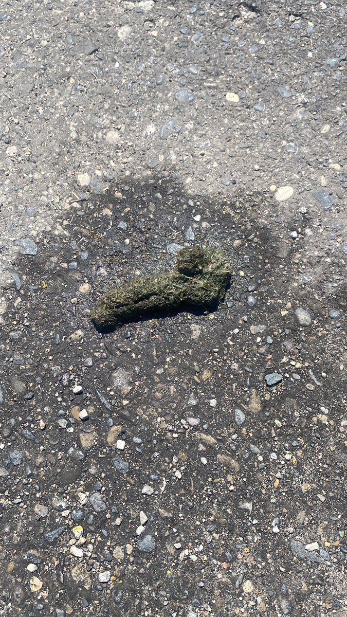 I know that’s a…but it looks like a ….