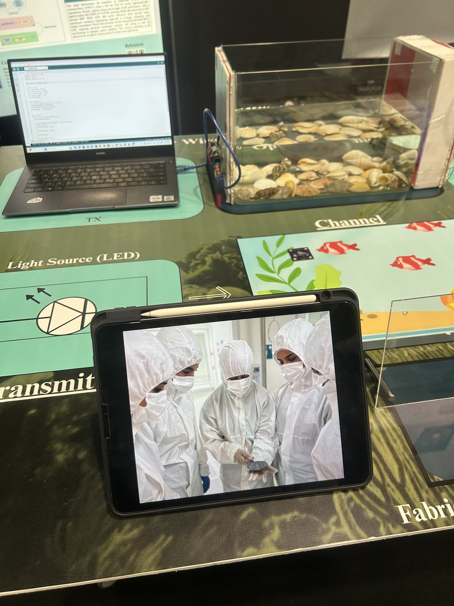 نورة tweet media