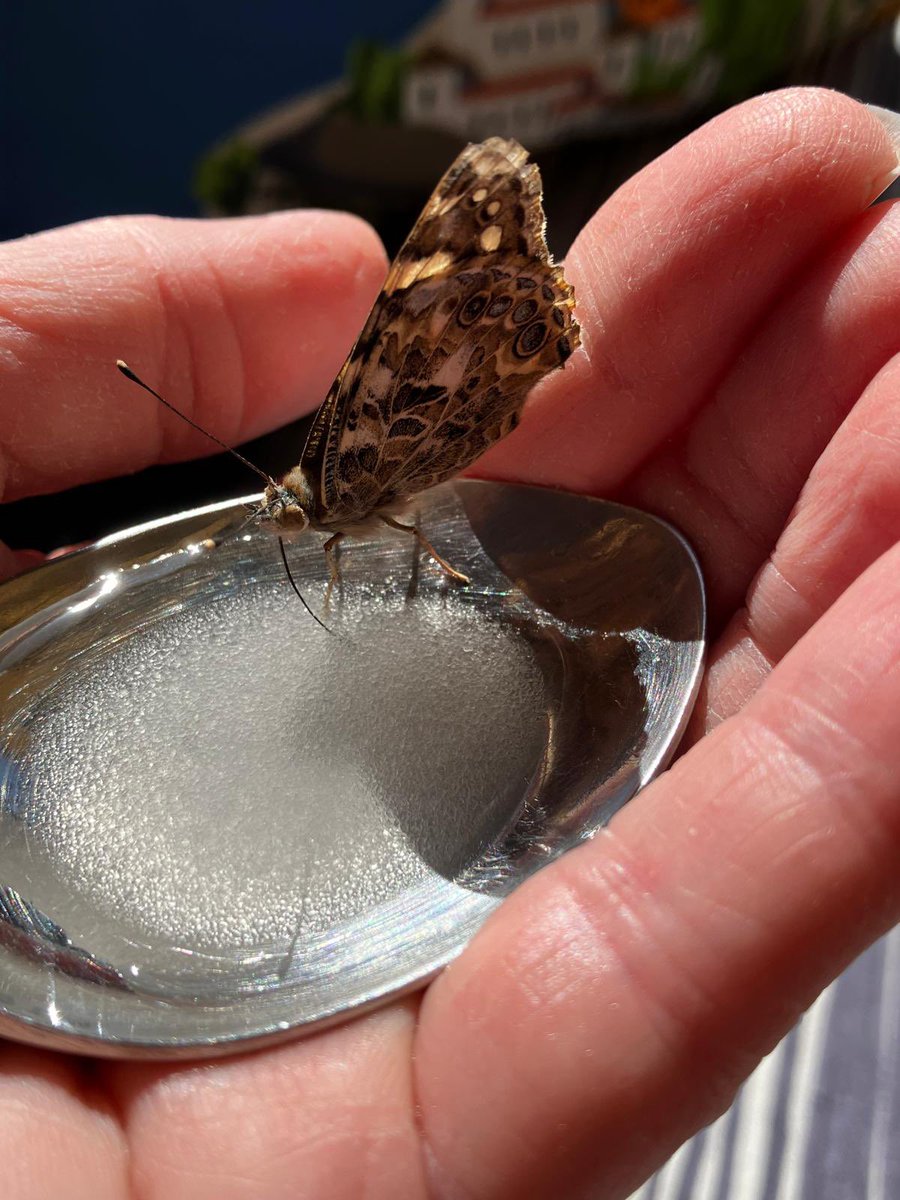 Miss Nicholson tweet media