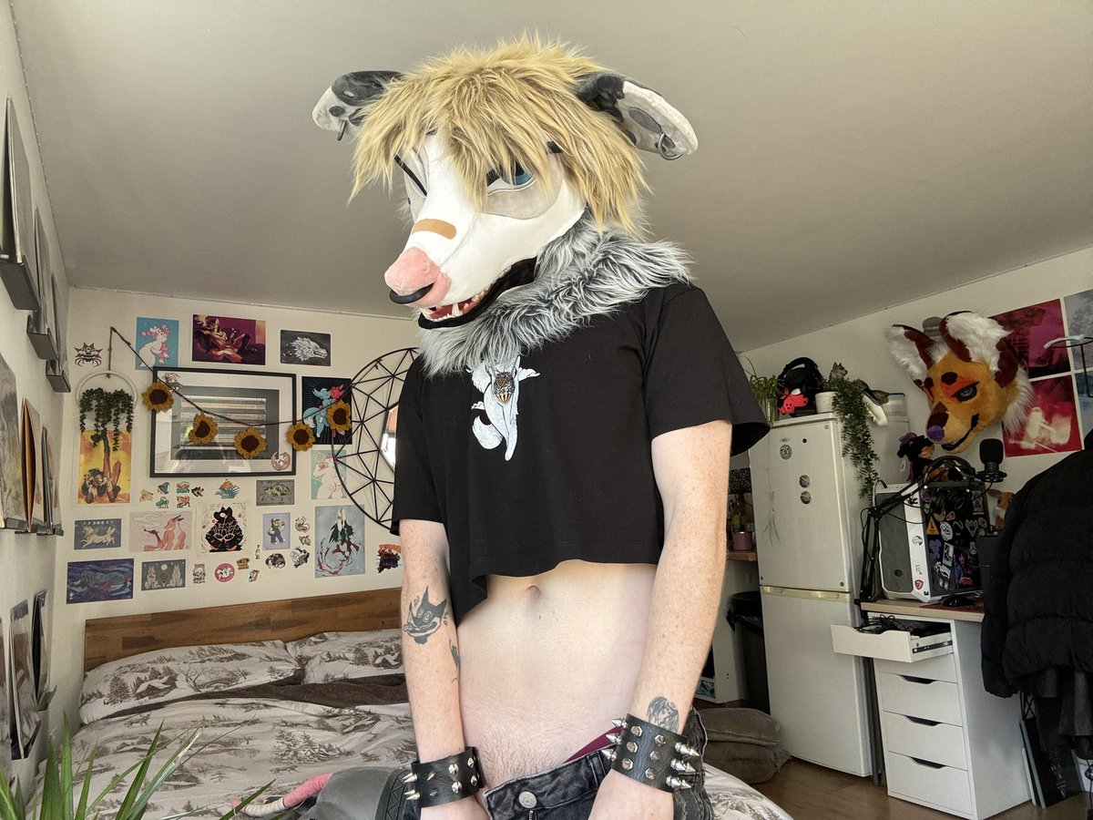 Lemme borrow your snout real quick, I’ll show you what a REAL possum smells like 😷

#FursuitFriday