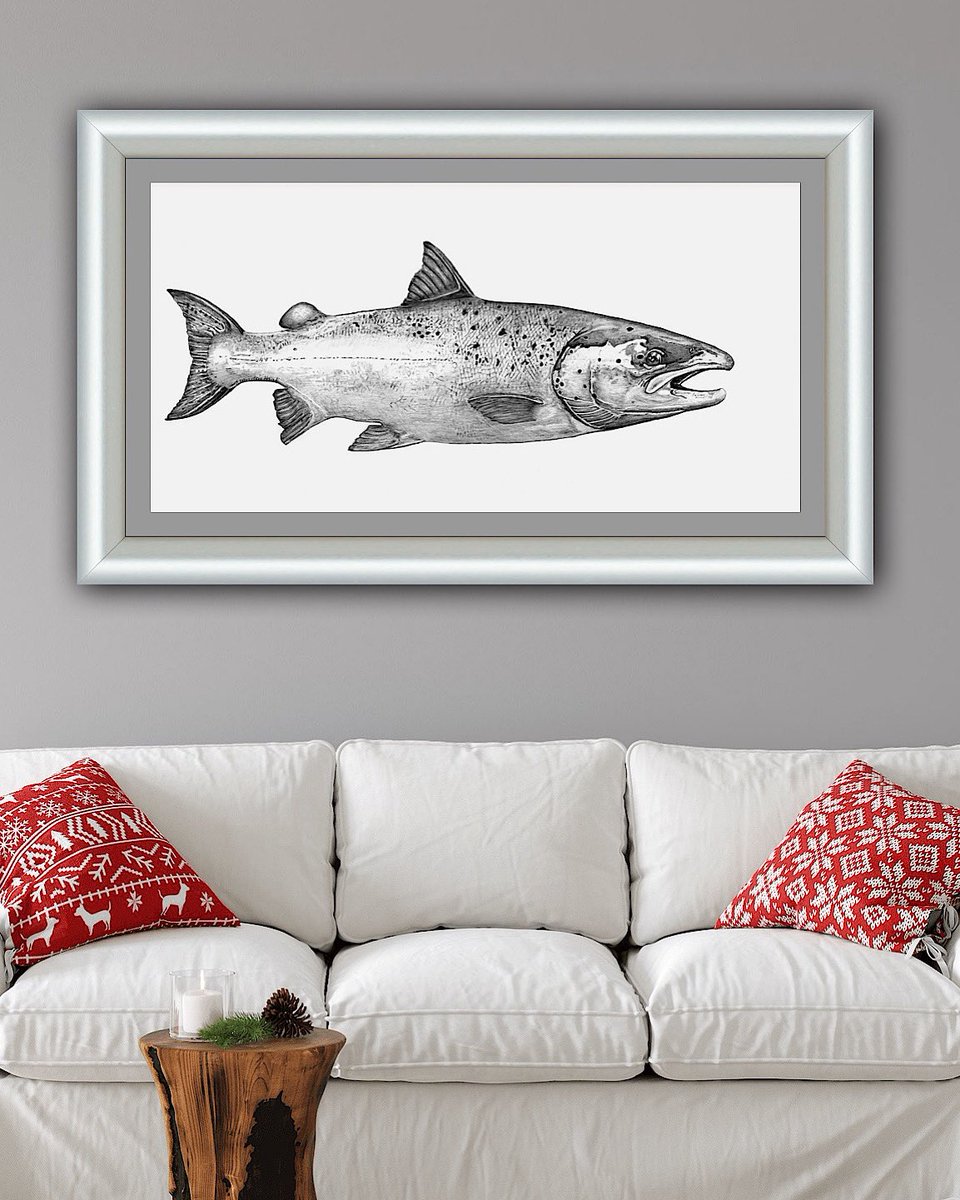 One of my older drawings, lovely so called Silver Bullet Salmon. #salmonfishing #fishing #flyfishing #fishart