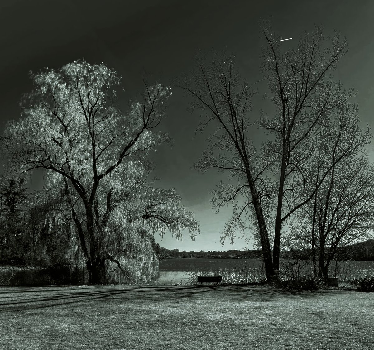 Have a great weekend everyone! 
Listen for the Whispers all around us.
#NFTCommunity