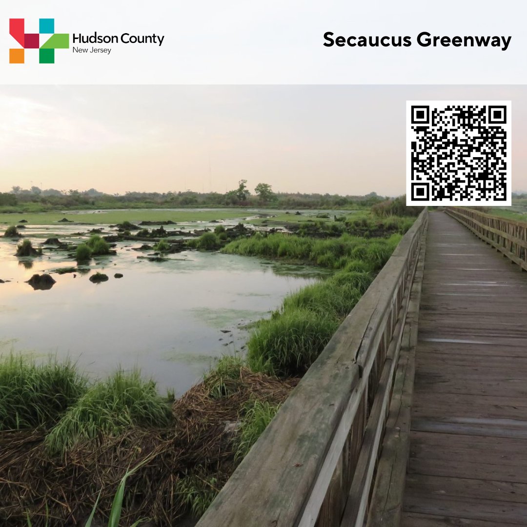 Have you been to the Secaucus Greenway yet? This 1.6-mile trail is a popular sport for birding, trail running, and walking, but you can still enjoy some solitude during quieter times of day. Check it out! 🌳
#VisitHudsonNJ #HudsonCounty #NewJersey #VisitNJ #Secaucus #Trail