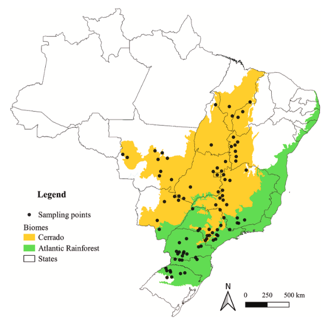 lwmendes's tweet image. Bacterial and nematode communities associated with soybean-cultivated soils from two native Brazilian biomes | Applied Soil Ecology sciencedirect.com/science/articl…