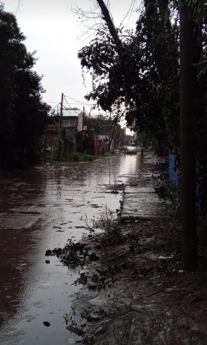 Maxi Gallucci tweet media