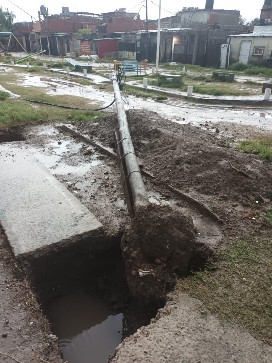 Maxi Gallucci tweet media