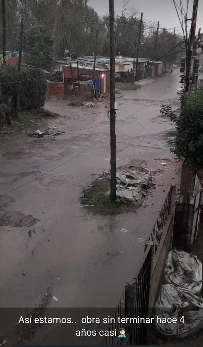 Maxi Gallucci tweet media