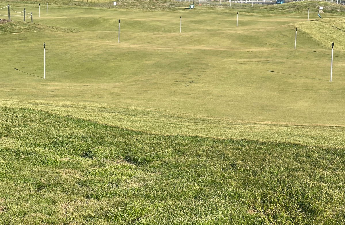 Scott Macpherson (@macphersongolf) on Twitter photo I’m very excited to see the new 18 hole Himalayas-styled putting green <a href="/MiramarLinks/">Miramar Links Golf</a> open. Shaped on pure sand, it has all the humps and hollows to be a place of thrills, spills and joy. I love seeing families playing together and hope it’s a great asset to the club. 👏👍 I’m very excited to see the new 18 hole Himalayas-styled putting green <a href="/MiramarLinks/">Miramar Links Golf</a> open. Shaped on pure sand, it has all the humps and hollows to be a place of thrills, spills and joy. I love seeing families playing together and hope it’s a great asset to the club. 👏👍