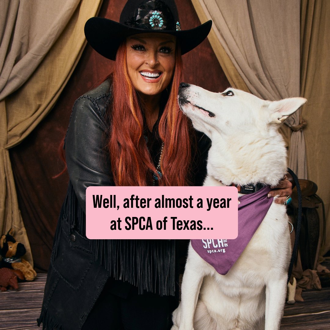MuttNation's tweet photo. After @mirandalambert and @wynonnajudd spent time at the ACMs with Archer - one of @spcaoftexas  longest residents - we are beyond excited to share that he has found his forever home! This sweet boy is finally where he belongs. A year at the shelter was far too long — but his journey reminds us that there are so many amazing pups out there just waiting for a chance. 🤍🩷 #AdoptDontShop
