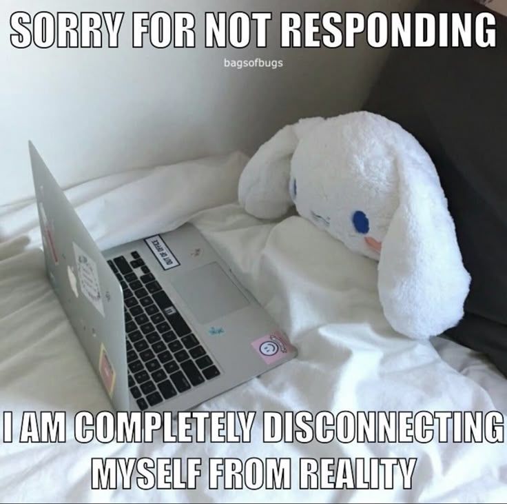 adorabledaily tweet media