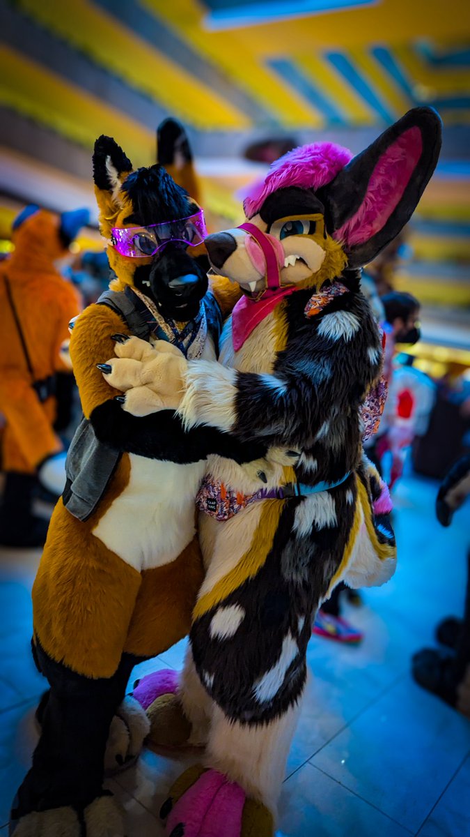 I found a cute doggy, can someone tag them? #MFF2024