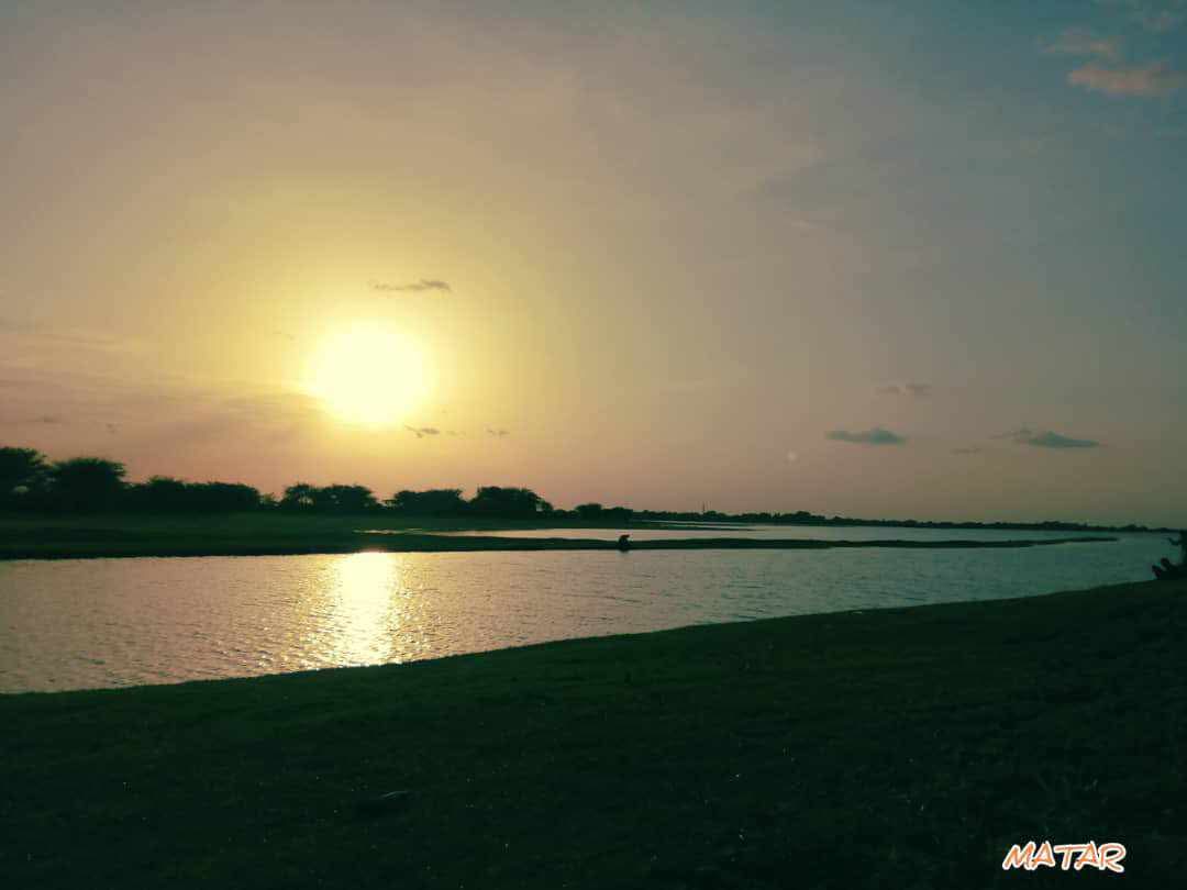 VvfBb39790's tweet photo. النيل الازرق قرية الحجيرات ولاية سنار https://t.co/ab1MZ0mWyi