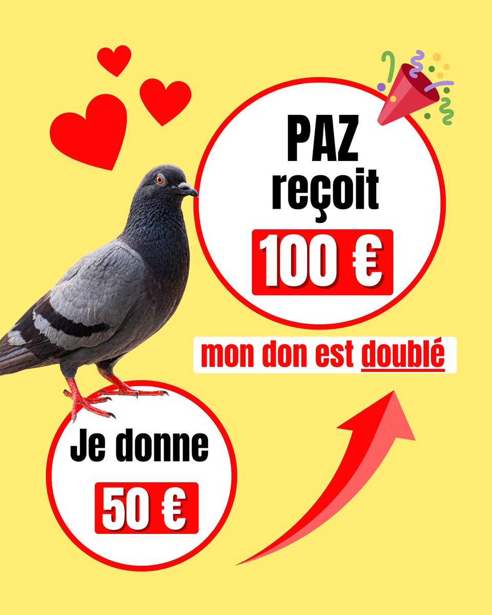 🐦 En ce moment, vos dons sont doublés pour aider les plus négligés.

💸 20 € = 40 € pour les animaux oubliés
zoopolis.fr/donner-double-…