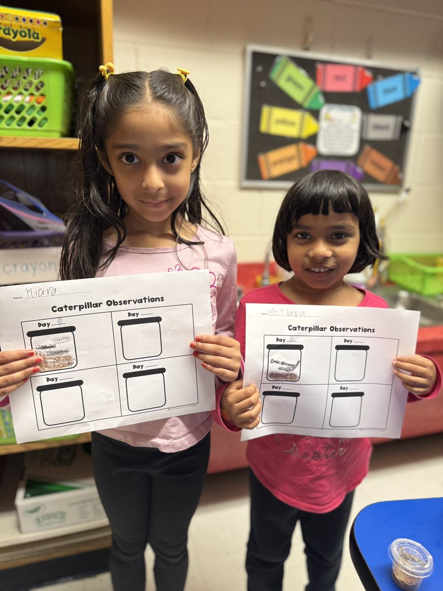 Danielle Austin tweet media