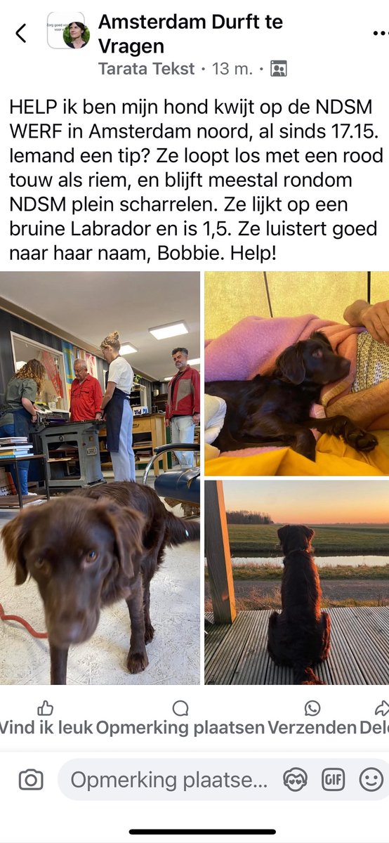 Bobbie is zoek! NDSM plein Mokum.