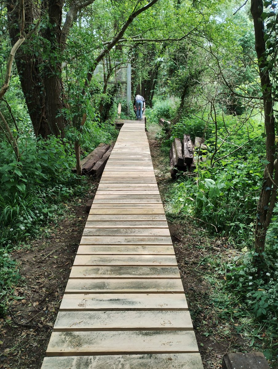 GreenwaysProj's tweet image. More new boardwalk completed today in Belstead Brook Park (Ashground Plantation, Bobbits Lane) - all made from our own local oak & sweet chestnut timber. Thanks as usual to our wonderful volunteers! @IpswichGov @BaberghSuffolk #volunteers #localtimber