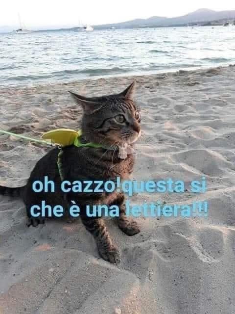 Il piacere delle piccole cose #daRaccontare