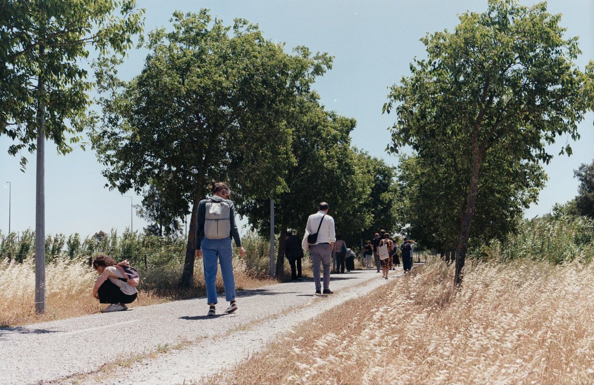 I’m happy to share that my article, 'Tacit knowledge of place: Sensory and artistic approaches for capturing and communicating tacit ecological knowledge' has been published in Art, Design &amp; Communication in Higher Education Journal: intellectdiscover.com/content/journa… 
#ELIA #arteducation