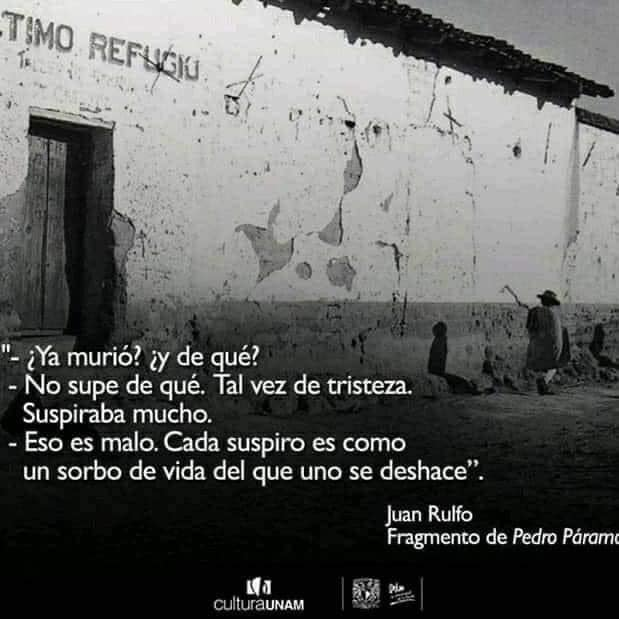 Felipe Gaytán Alcalá (@gaytan_alcalaf) on Twitter photo 