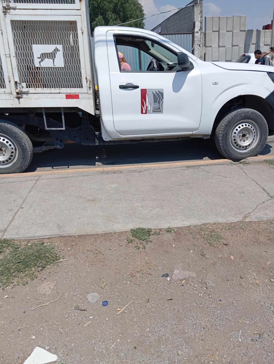 APASDEM, A.C. (@apasdem) on Twitter photo URGEN LUGARES DE RESGUARDO Y APOYO PARA TODOS LOS DEFENSORES DE ANIMALES DE #MEXICO, QUE DAN SU VIDA Y SUS POCOS RECURSOS ECONOMICOS CON ESTERILIZACIONES,ATENCION MEDICA AYUDANDO A LA SALUD DE LA COMUNIDAD Y ANIMALES! #Mexico #Edomex #perros <a href="/Claudiashein/">Claudia Sheinbaum Pardo</a> <a href="/SSalud_mx/">SALUD México</a> <a href="/SaludEdomex/">Secretaría de Salud del Estado de México</a> URGEN LUGARES DE RESGUARDO Y APOYO PARA TODOS LOS DEFENSORES DE ANIMALES DE #MEXICO, QUE DAN SU VIDA Y SUS POCOS RECURSOS ECONOMICOS CON ESTERILIZACIONES,ATENCION MEDICA AYUDANDO A LA SALUD DE LA COMUNIDAD Y ANIMALES! #Mexico #Edomex #perros <a href="/Claudiashein/">Claudia Sheinbaum Pardo</a> <a href="/SSalud_mx/">SALUD México</a> <a href="/SaludEdomex/">Secretaría de Salud del Estado de México</a>