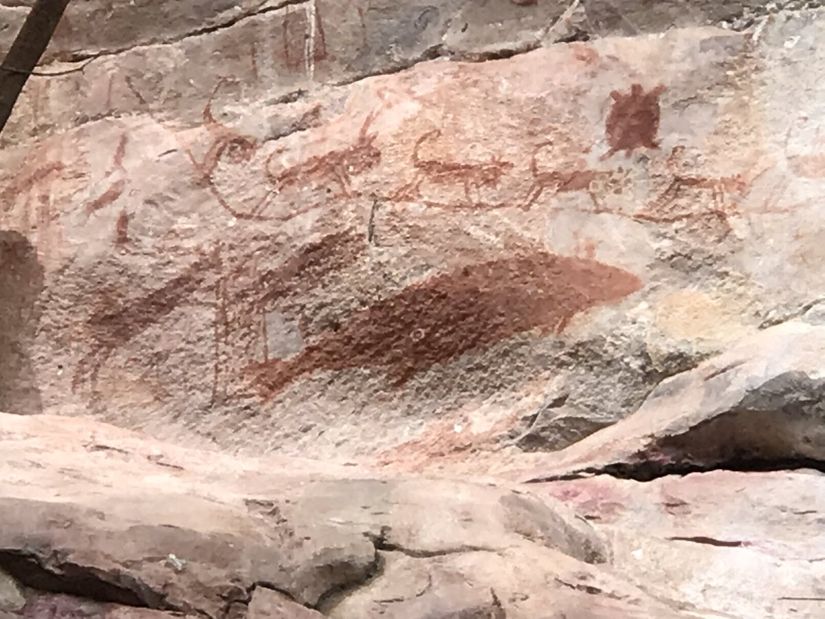 Carlos Lasso tweet media