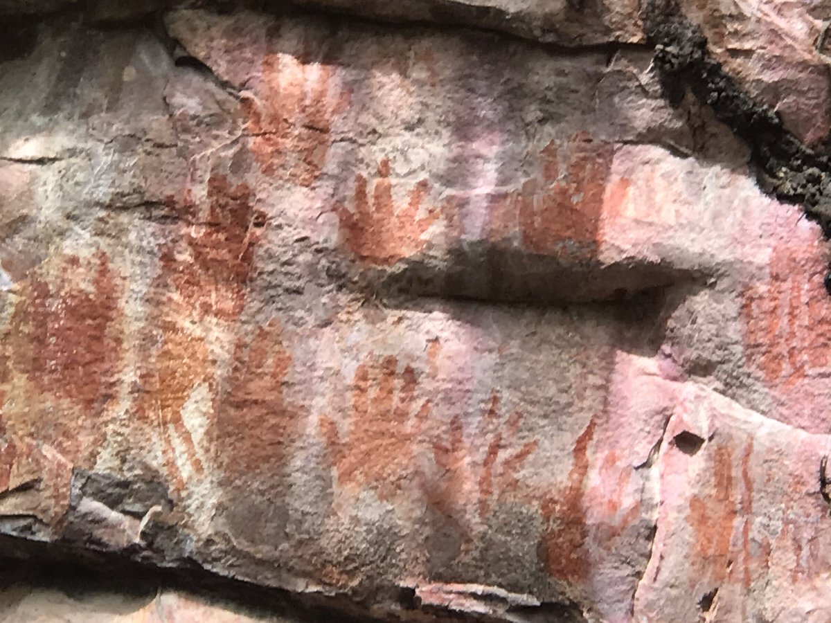 Carlos Lasso tweet media