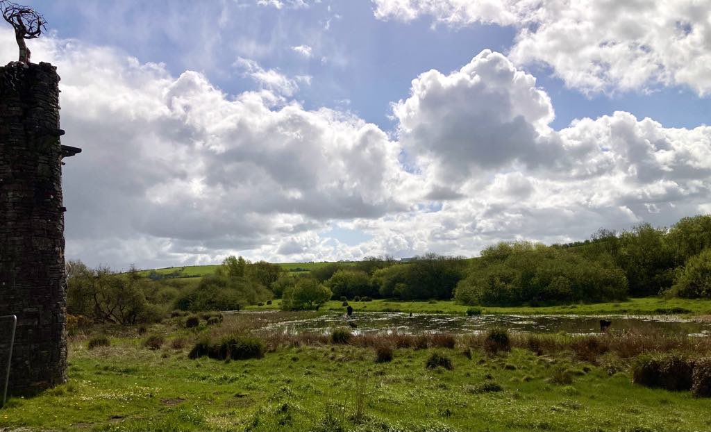 Chris Wolny ๐ต๐ฑ๐ฏ๐ฎ๐ช #Cork #CCFC84PL #CorkGreens (@chriswolny) on Twitter photo <a href="/corkcyclingfest/">CorkCyclingFestival</a> eco - cycle to Blarney fen tomorrow! We off from Grand Parade at 11am #CorkBikeWeek <a href="/corkcyclingfest/">CorkCyclingFestival</a> eco - cycle to Blarney fen tomorrow! We off from Grand Parade at 11am #CorkBikeWeek